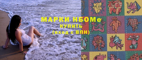 шишки Каменка