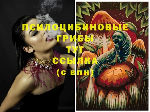 мдма Заводоуковск
