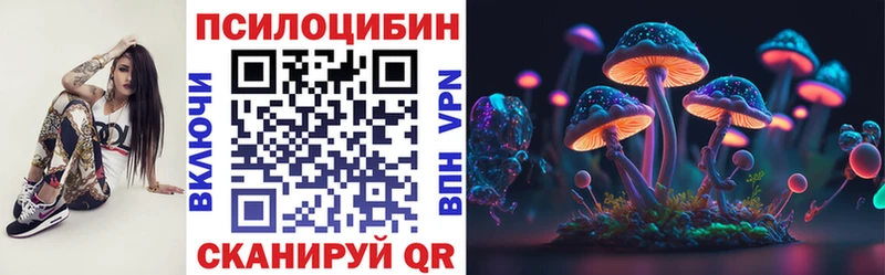 что такое наркотик  Злынка  ОМГ ОМГ сайт  Галлюциногенные грибы мухоморы 
