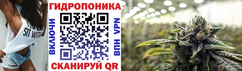 Конопля семена  Злынка 